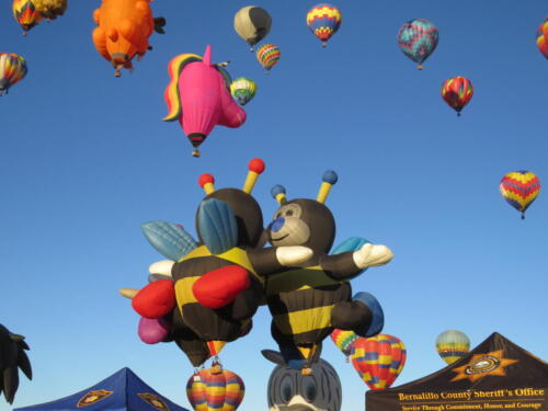 BF-Bees