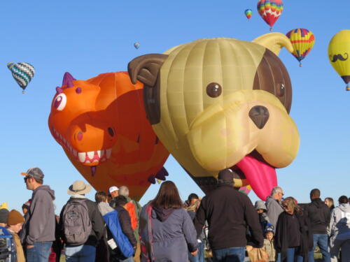 BF-Dog-Horse