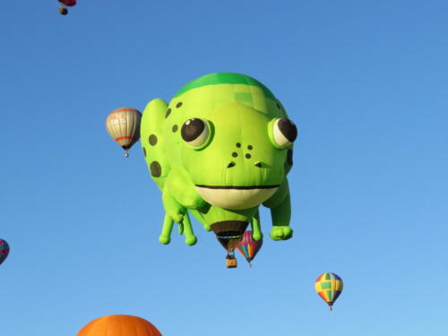 BF-Frog