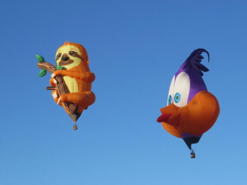 BF-Sloth-Woody-Woodpecker