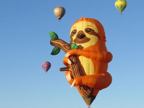 BF-Sloth