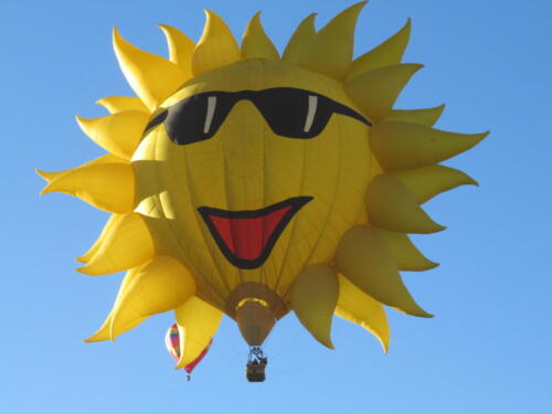BF-Sunny-Boy