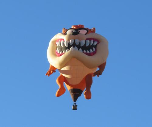 BF-Tasmanian-Devil