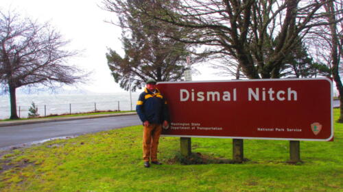 Dismal-Nitch
