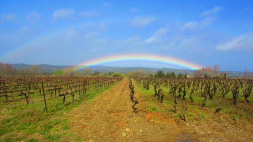 France-near-St.-Chinian