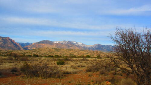 New-Mexico-1 (1)