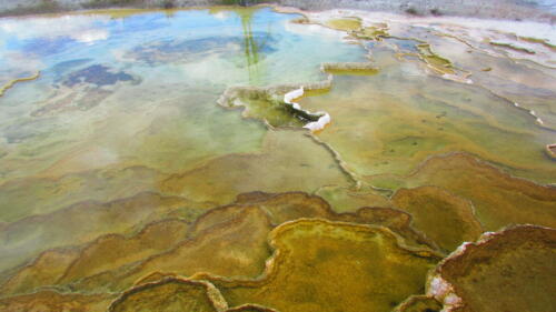 Yellowstone-1